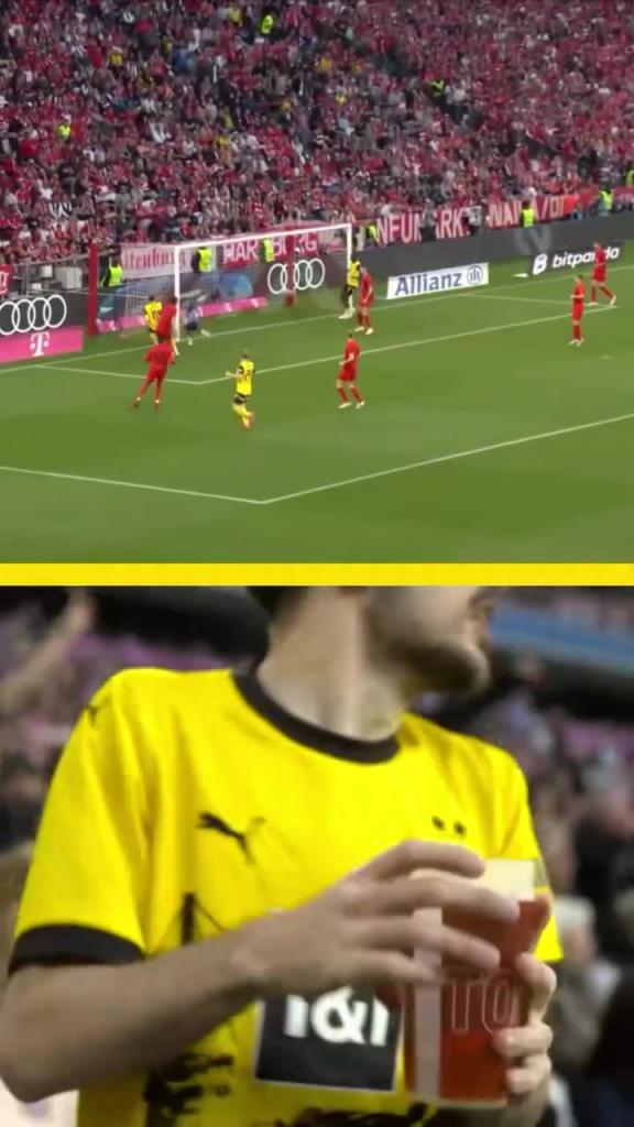 勇者無(wú)懼！這是真多特球迷！在拜仁球迷區(qū)一個(gè)人肆意慶祝！